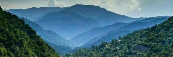 ‌زنبور دارم کیانی‌'s header picture