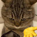 Profile picture of ‌hsbsiehvejejeh oh‌