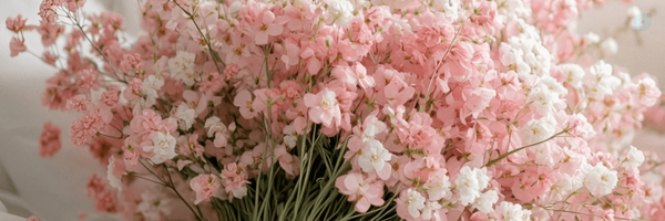 ‌افسانه مردی‌'s header picture