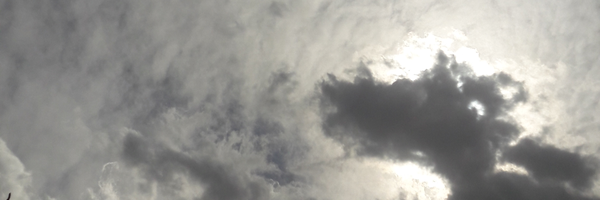 ‌ریحانه‌'s header picture