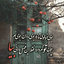 Profile picture of ‌Maryam‌