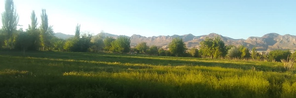 ‌Ali‌'s header picture