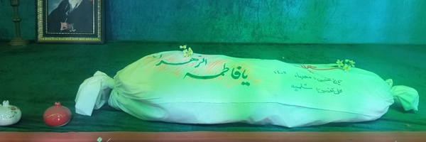 ‌سید مهدی‌'s header picture