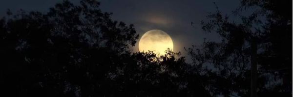 ‌الهه عبداللهی‌'s header picture