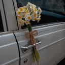 Profile picture of ‌Narcissus|"off"‌