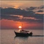 Profile picture of ‌عباس ابراهیمی‌
