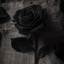 Profile picture of ‌𝓜.𝓜𝓪𝓱𝓭𝓲‌