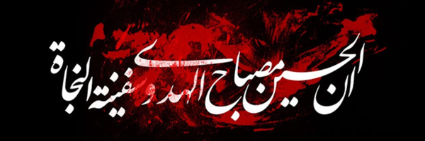 ‌محمد سلیمی صفار‌'s header picture