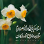 Profile picture of ‌مهدی مرادی وحدتی‌