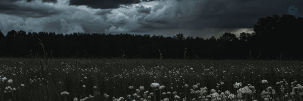 ‌سردرگم):‌'s header picture