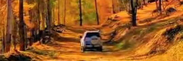‌خانم نقاش‌'s header picture