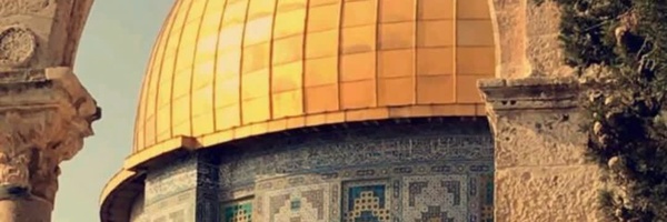 ‌علی دانشمند‌'s header picture