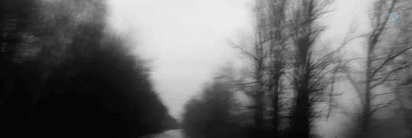 ‌عرفانه‌'s header picture