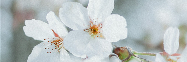 ‌بی نام‌'s header picture