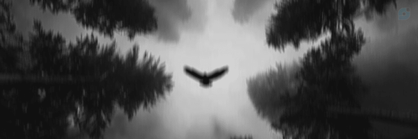 ‌حماد‌عبادی|Hemad.Ebadi‌'s header picture