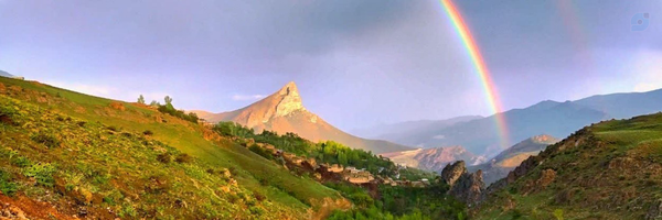 ‌محمدرضا‌'s header picture