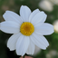 Profile picture of ‌R.b‌