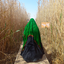 Profile picture of ‌فاطمه بانو‌