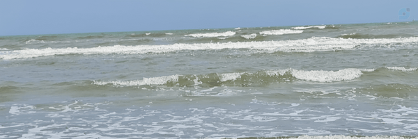 ‌مسعود‌'s header picture