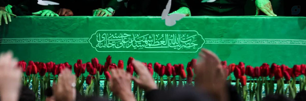 ‌سید محمد علی‌'s header picture