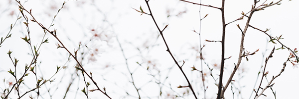 ‌محمدجواد مؤذنی‌'s header picture