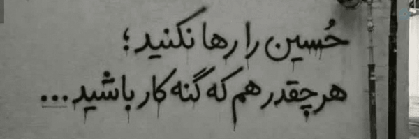 ‌خانُم زِد🌱تی‌'s header picture
