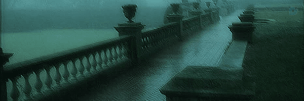 ‌Viora‌'s header picture