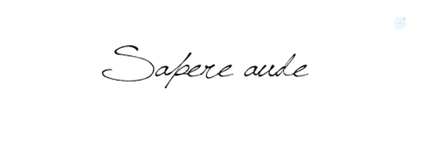 ‌Sara‌'s header picture
