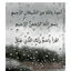Profile picture of ‌پدرام محمدی‌
