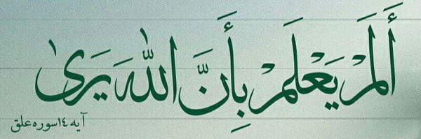 ‌مجتبی رحمانی‌'s header picture