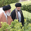 Profile picture of ‌احمد یاری‌