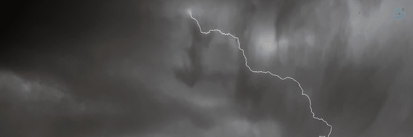 ‌Amir Hossein Shakerian‌'s header picture