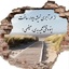 Profile picture of ‌سرباز  گمنام امام زمان‌