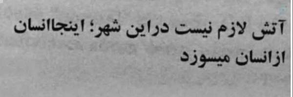 ‌هاپو کوچولو🫠‌'s header picture