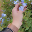 Profile picture of ‌الهه ناز‌