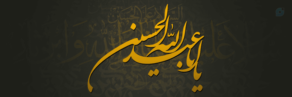 ‌حبیبه سیدآبادی🏴‌'s header picture
