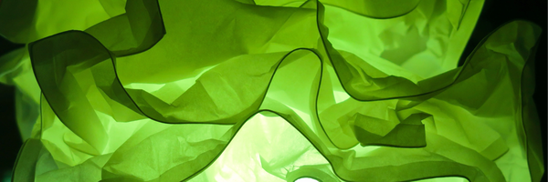 ‌خضرا‌'s header picture