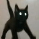 Profile picture of ‌Ba Ran‌