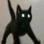 Profile picture of ‌Ba Ran‌