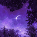Profile picture of ‌Ms.Zahra₁₃₃‌