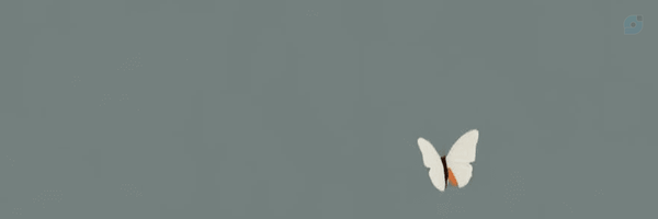 ‌Sam‌'s header picture