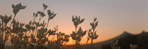 ‌User Irani‌'s header picture
