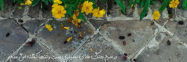 ‌hamraz🐨🌿‌'s header picture