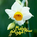 Profile picture of ‌🇮🇷🇵🇸🏴Gole Narges‌