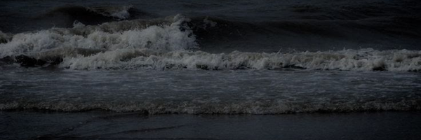 ‌خانم نَعنا 🌱‌'s header picture