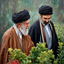 Profile picture of ‌صالح وزیرپناه‌