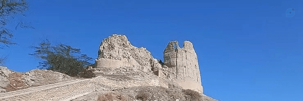 ‌رضا دریانورد‌'s header picture