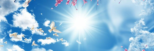 ‌سمیه مقیمی‌'s header picture
