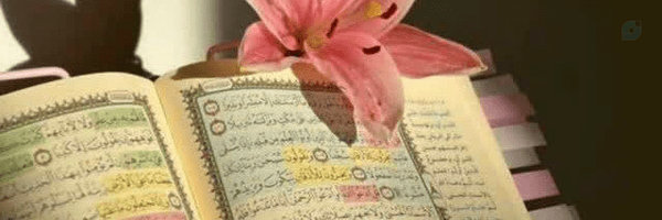 ‌مَهابانو🎒‌'s header picture