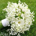 Profile picture of ‌محمد‌